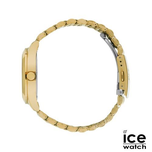 ICE steel-Gold-Petite-SOLAR 3H - 3