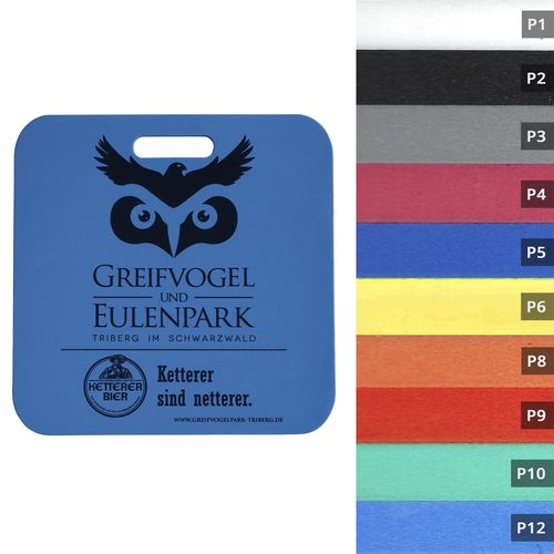 Seat cushion Budget Seat