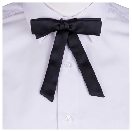 noeud papillon - 1