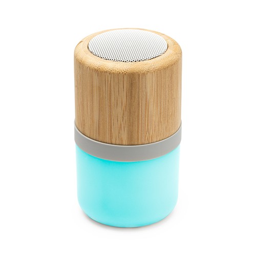 enceinte multifonctions - 1
