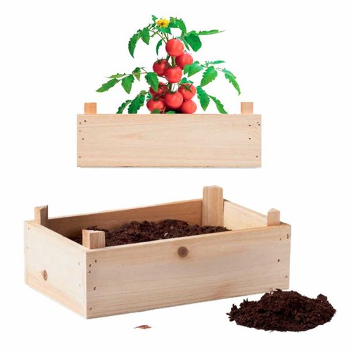 Fruit personnalisé