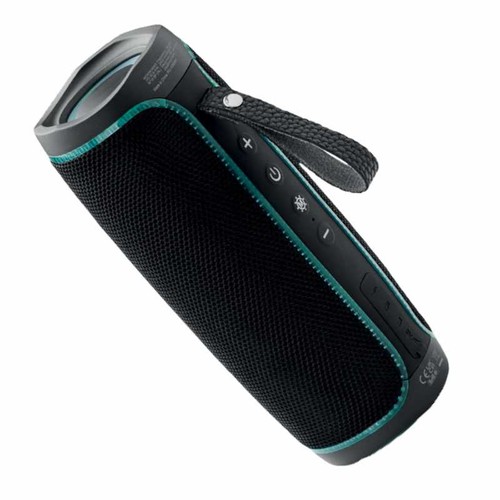 enceinte - 1