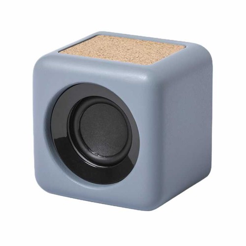 enceinte - 1