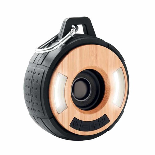enceinte multifonctions - 1