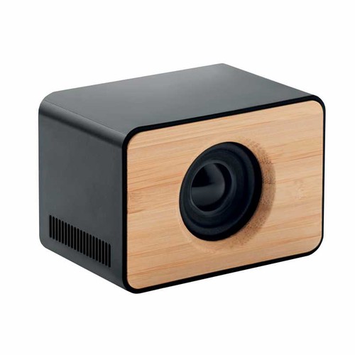 enceinte - 1