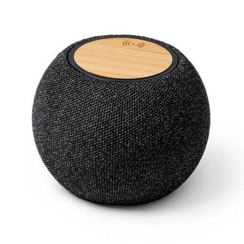 enceinte - 1