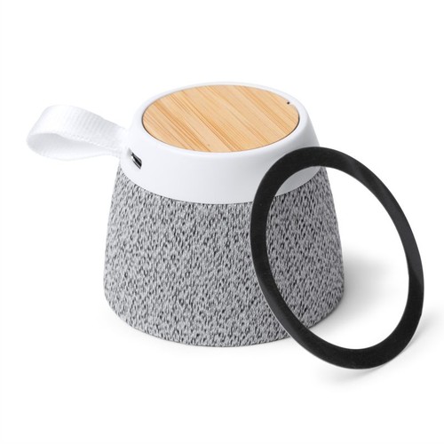 enceinte - 1