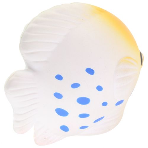 Poissons tropicaux anti-stress - 3