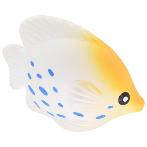 Poissons tropicaux anti-stress - 4