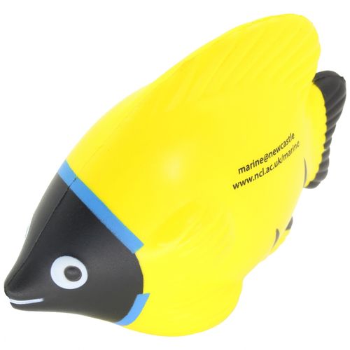 Poissons tropicaux anti-stress - 6