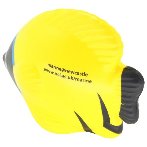 Poissons tropicaux anti-stress - 7