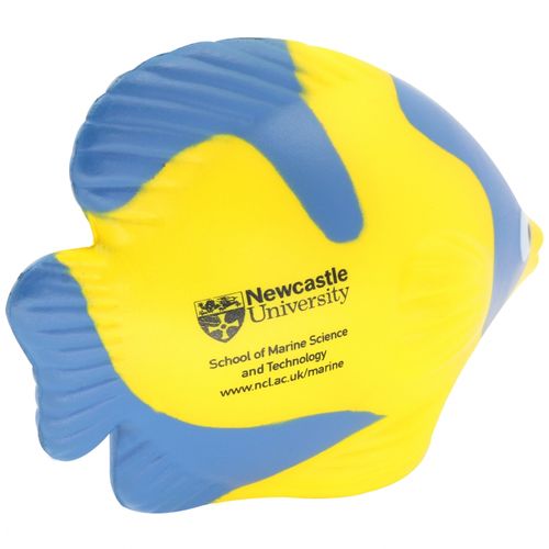 Poissons tropicaux anti-stress - 12