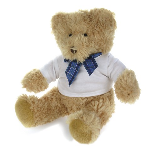 POLYESTER PLUSH BEAR WITH DRESSED T-SHIRT