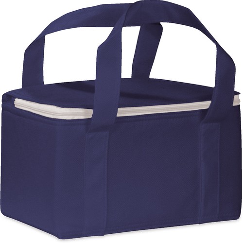NON WOVEN COOLER BAG