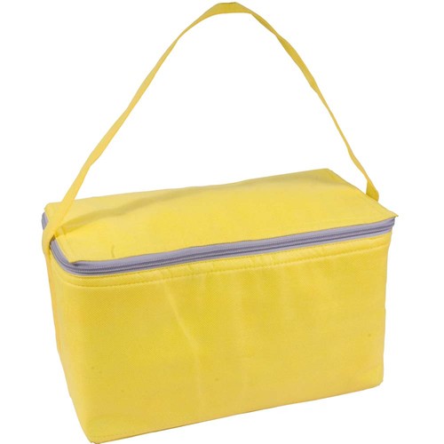 Non-woven fabric cooler bag with silver interior