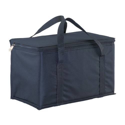 Cooler bag with silver interior
