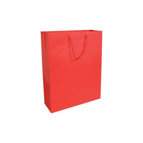 157 g/m2 matte laminated paper shopping bag with gusset and bottom reinforcement