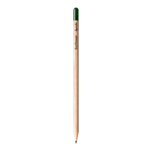 Sprout pencil made of sustainable wood with graphite lead. Plantable after use Sprout pencil made of sustainable wood with graphite lead. Plantable after use