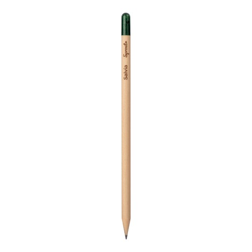 Sprout pencil made of sustainable wood with graphite lead. Plantable after use Sprout pencil made of sustainable wood with graphite lead. Plantable after use