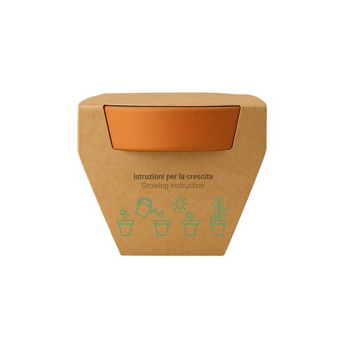 Pot en terre cuite naturelle avec tourbe et capsule biodegradable contenant des graines - 11