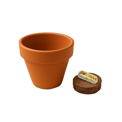 Pot en terre cuite naturelle avec tourbe et capsule biodegradable contenant des graines - 20