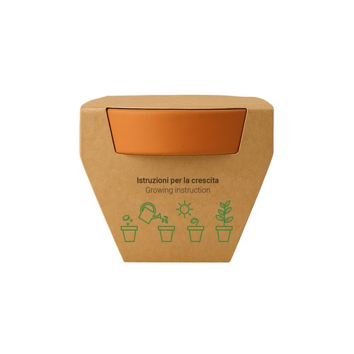 Pot en terre cuite naturelle avec tourbe et capsule biodegradable contenant des graines - 3
