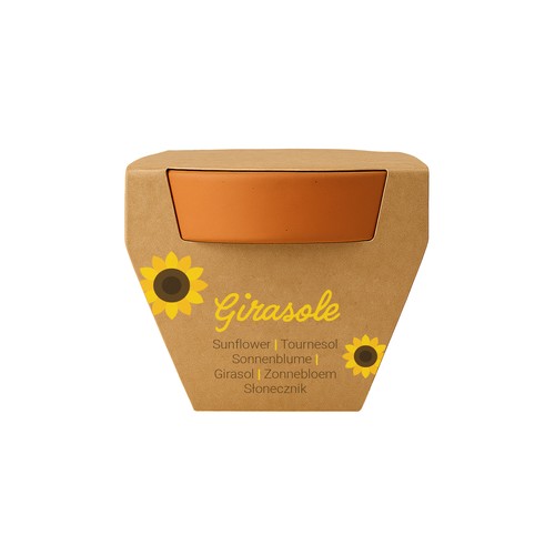 Pot en terre cuite naturelle avec tourbe et capsule biodegradable contenant des graines - 6
