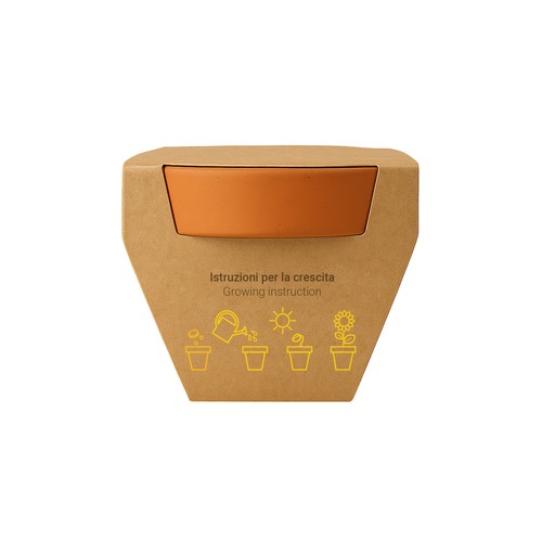 Pot en terre cuite naturelle avec tourbe et capsule biodegradable contenant des graines - 7