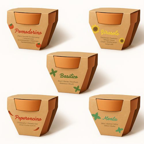 Pot en terre cuite naturelle avec tourbe et capsule biodegradable contenant des graines - 1