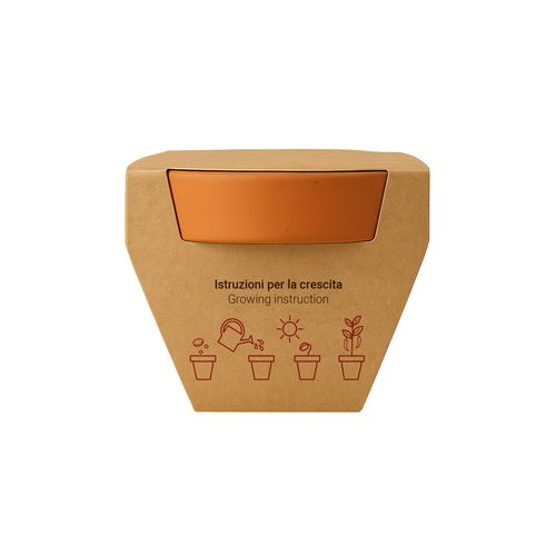 Pot en terre cuite naturelle avec tourbe et capsule biodegradable contenant des graines - 15