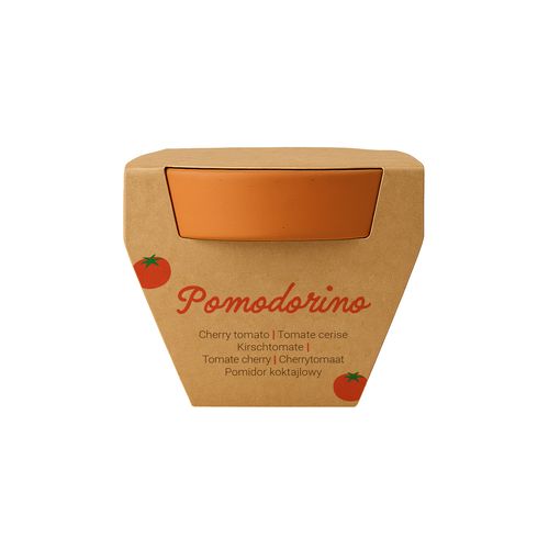 Pot en terre cuite naturelle avec tourbe et capsule biodegradable contenant des graines - 18