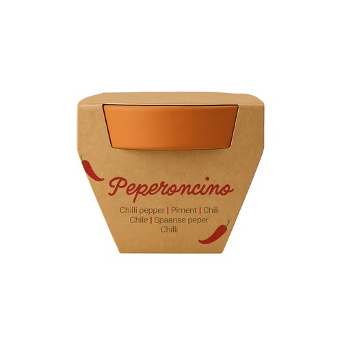 Pot en terre cuite naturelle avec tourbe et capsule biodegradable contenant des graines - 14