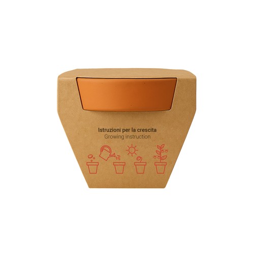 Pot en terre cuite naturelle avec tourbe et capsule biodegradable contenant des graines - 19