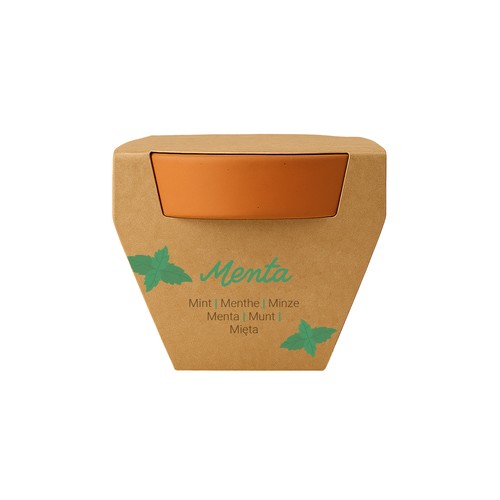 Pot en terre cuite naturelle avec tourbe et capsule biodegradable contenant des graines - 10