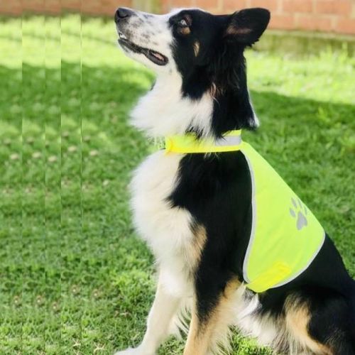 CHALECO DE ALTA VISIBILIDAD PARA PERRO - 100% POLIÉSTER DOGEST