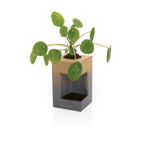 Mug 300ml en acier recyclé RCS Avira Alya - 18