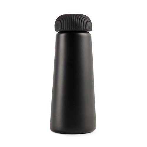 VINGA Bouteille isotherme 450ml en acier RCS Erie - 2