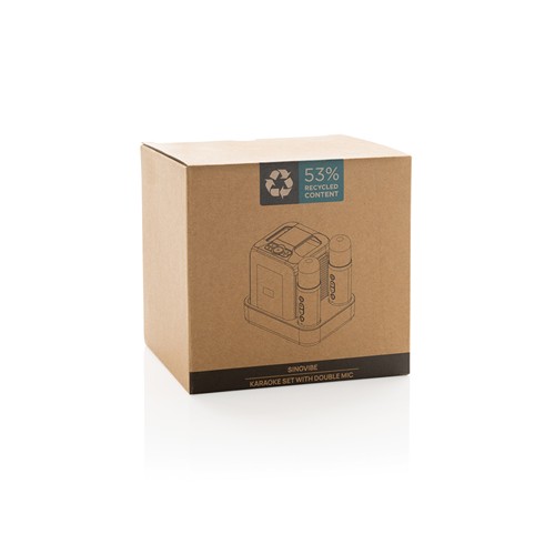 Set karaoké avec double micro en plastique RCS SingVIBE - 17