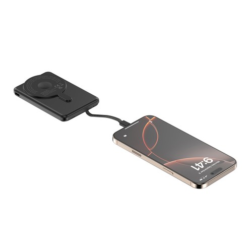 Powerbank 5000mAh et 20W PD Urban Vitamin Redwood - 8