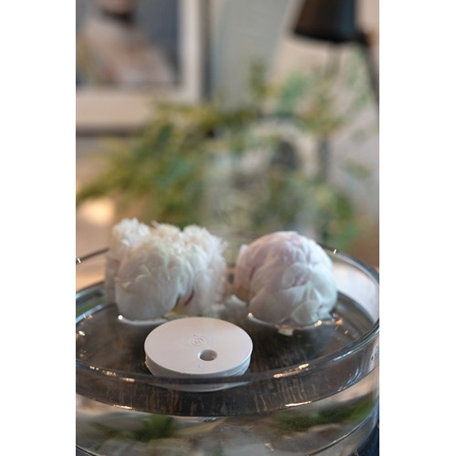 Humidificador flotante recargable Breevia RCS rplastic