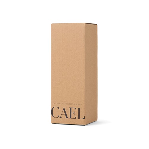 black Botella VINGA Cael RCS SS 600 ml