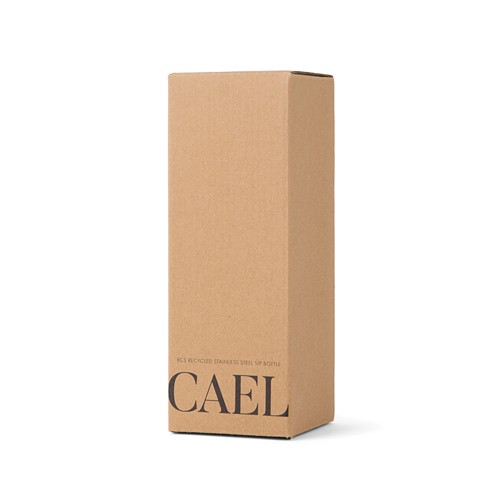 plata clara Botella VINGA Cael RCS SS 600 ml