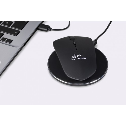souris & base induction thumbnail 6