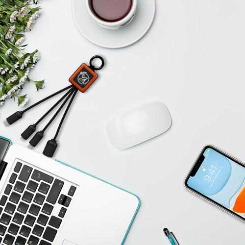 câble éco court 20W - 4