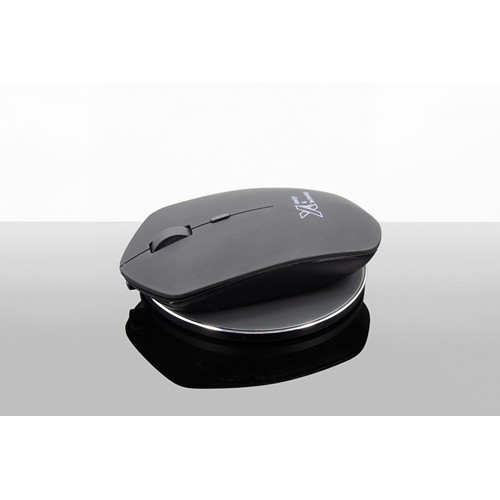 souris & base induction 10W - 2