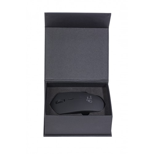 souris & base induction 10W - 3