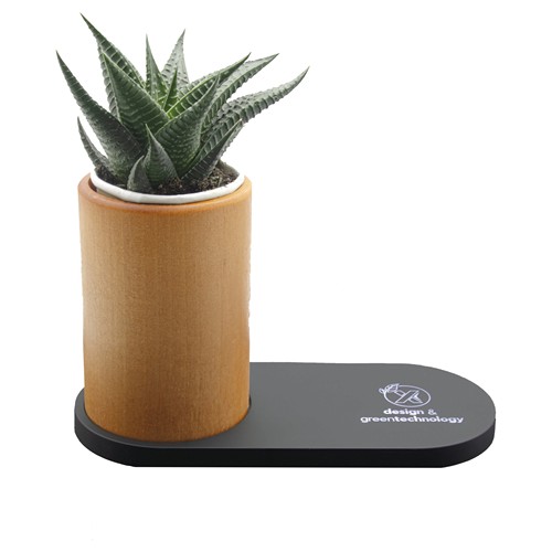 Chargeur 10W et plante dépolluante de bureau - 1