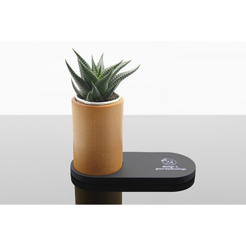 Chargeur 10W et plante dépolluante de bureau - 2
