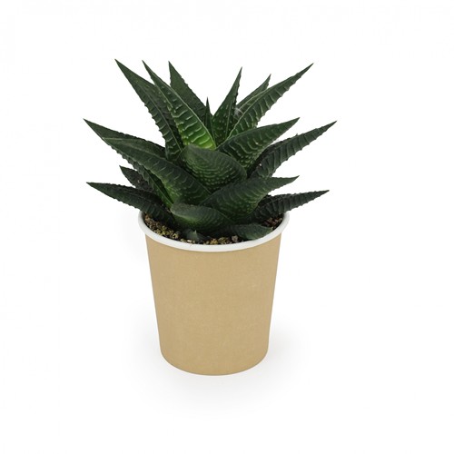 Chargeur 10W et plante dépolluante de bureau - 3