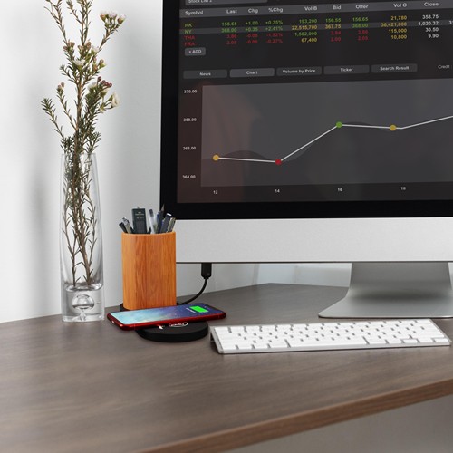 Chargeur 10W et plante dépolluante de bureau - 9